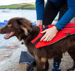 Surfdog Australia Red Dog Buoyancy Aid