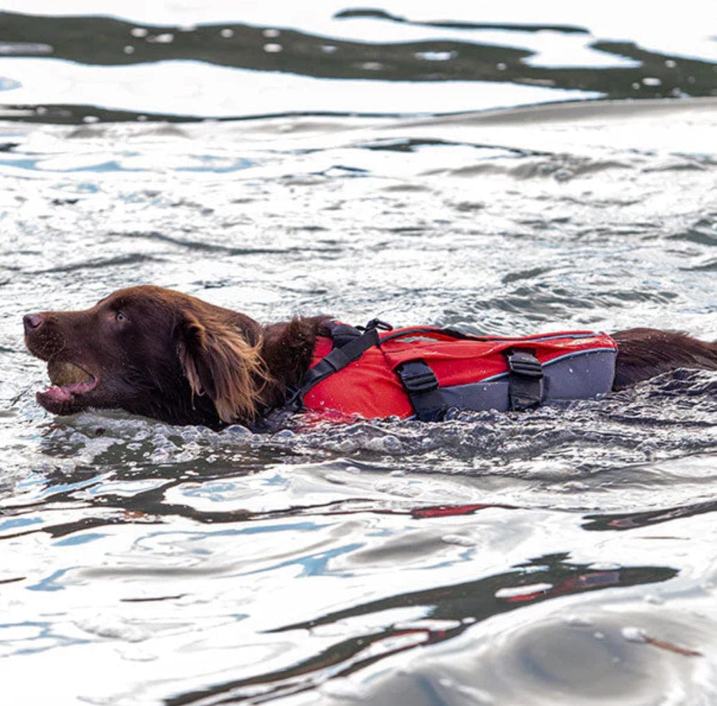 Surfdog Australia Red Dog Buoyancy Aid