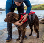 Surfdog Australia Red Dog Buoyancy Aid