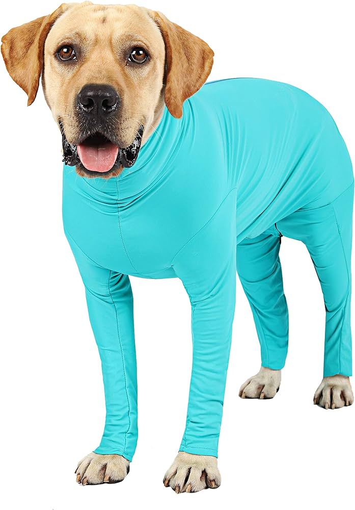 Surfdog Australia Super Dog Long Sleeved Body Suit