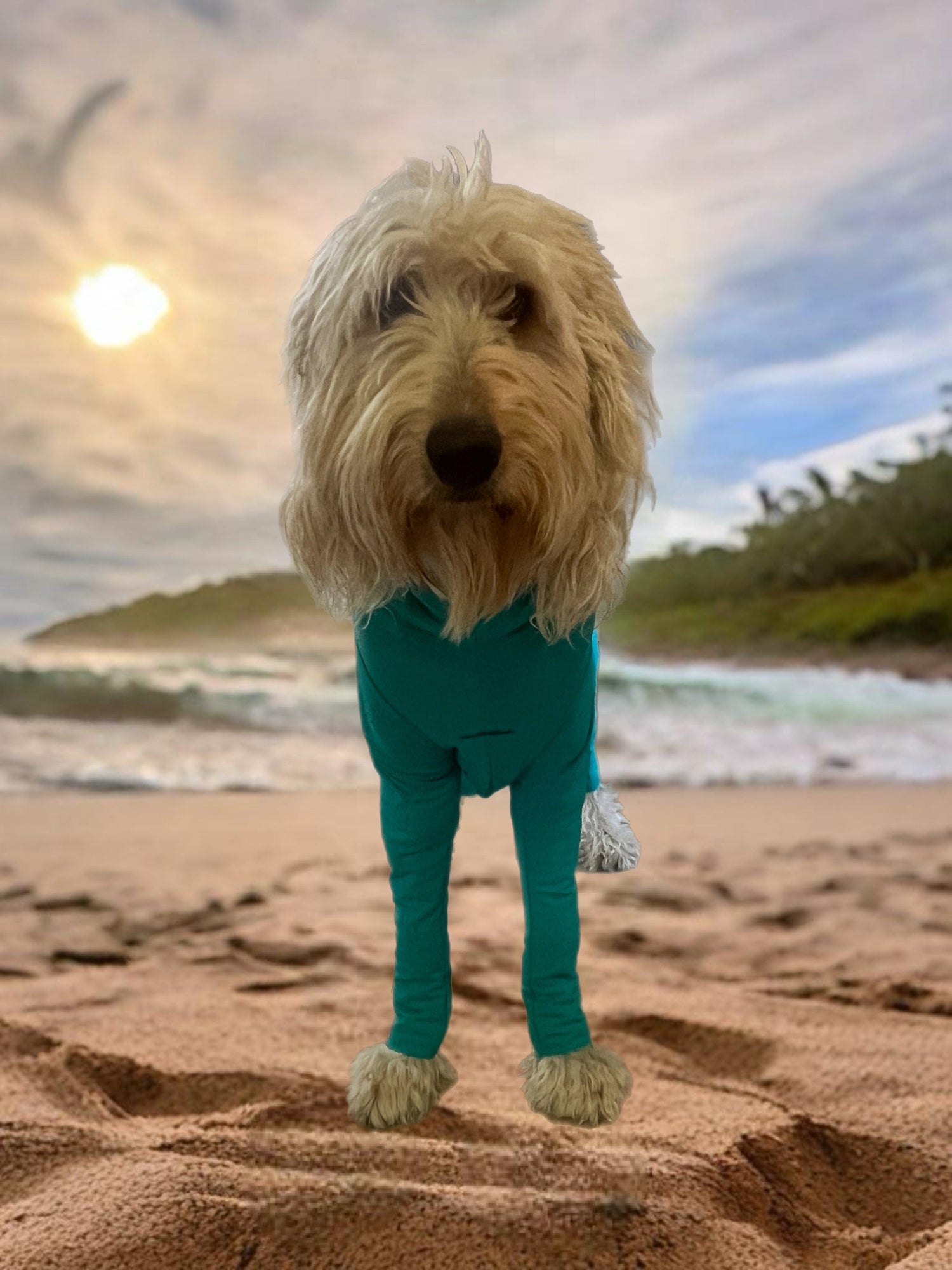 Surfdog Australia Super Dog Long Sleeved Body Suit