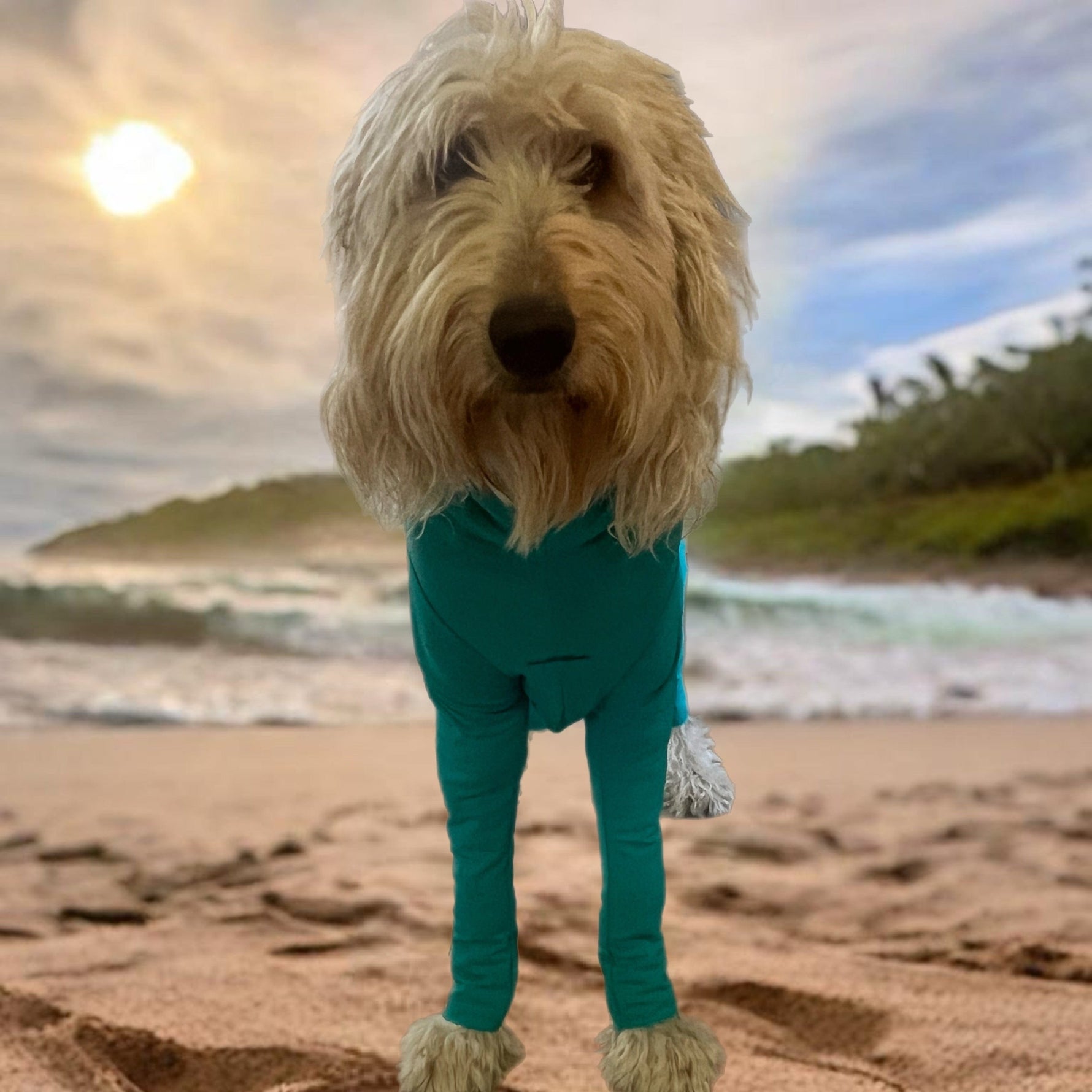 Surfdog Australia Super Dog Long Sleeved Body Suit