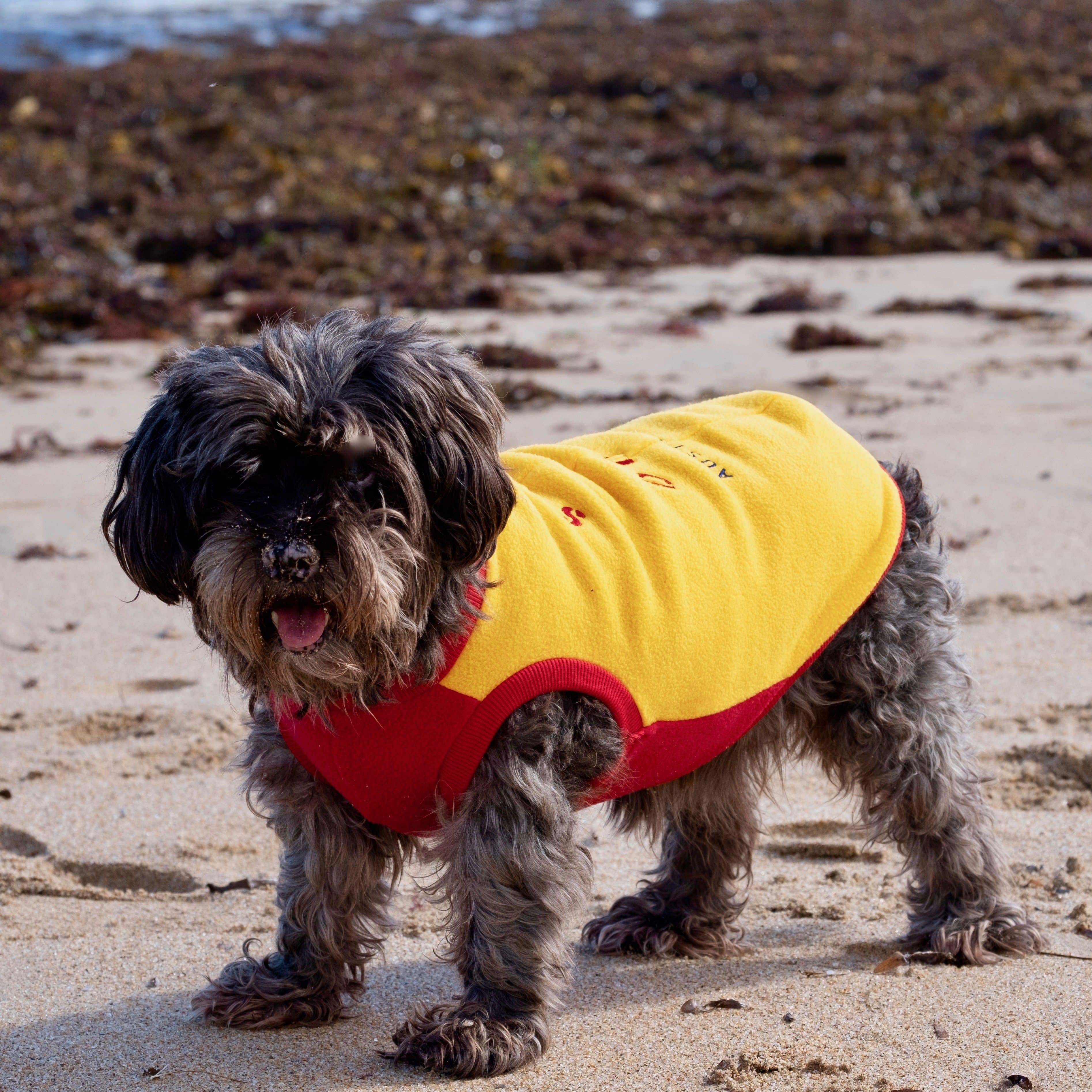 Fleece jumpers for dogs best sale