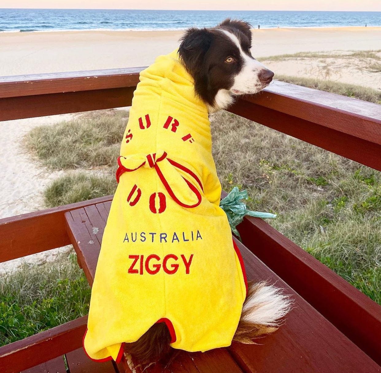 Drying Coats for Dogs quality Dog Drying Coats from Western Australia Surfdog Australia