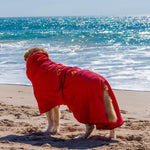 Australia's best dog drying coat from Surfdog Australia in Western Australia. Super absorbent Dog Drying Coat 'sucks' water from coats. Dog Drying coats to protect cars and homes from soggy dogs. Dog Drying coats dry dogs without knots, including bums and tummies, unique fabric and design, made for comfort, easy to use.